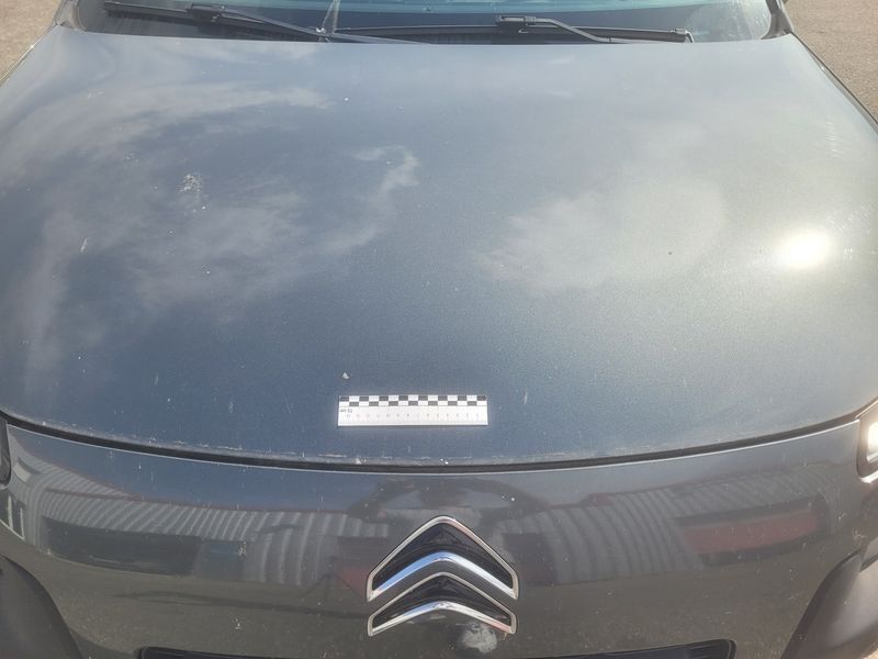 Citroen C4 Cactus 1.6 Blue-HDi Shine 2015 – снимка 31