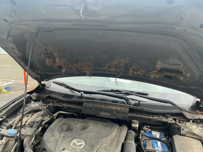 Mazda CX-5 2.2 Turbodiesel Exclusive-Line 2WD 2015 – снимка 51