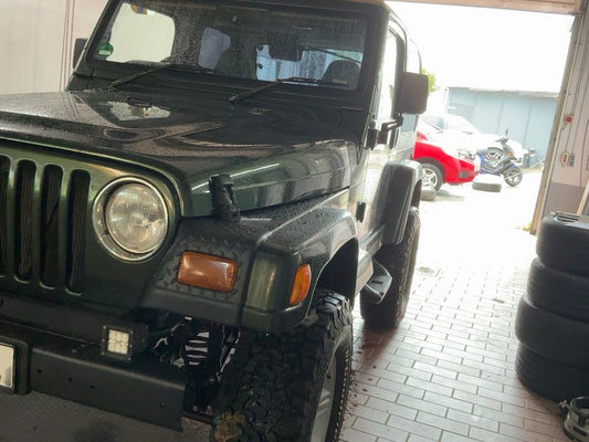 Jeep Wrangler 4.0 Sahara 1997 – снимка 2