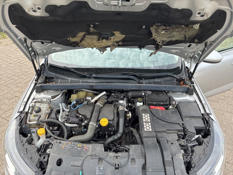 Renault Megane 1.5 dCi BOSE Edition 2017 – снимка 8