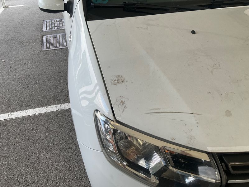 Dacia Sandero 1.5 dCi Comfort 2019 – снимка 28