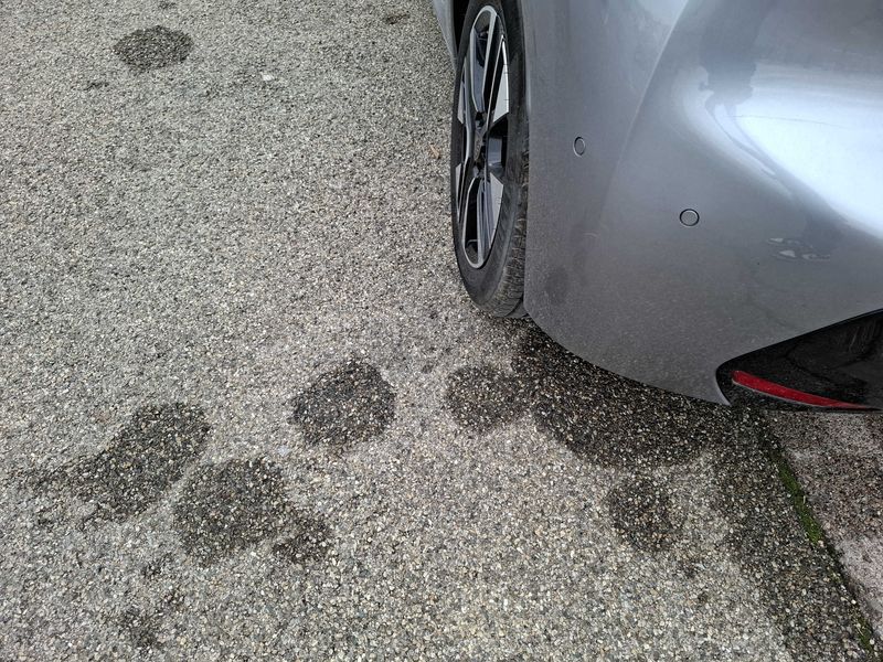 Peugeot 208 1.2 PureTech Allure 2024 – снимка 41
