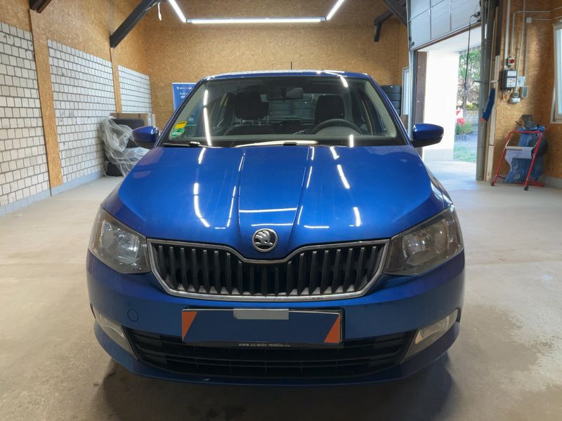 Skoda Fabia 1.0 TSI Ambition 2018 – снимка 14