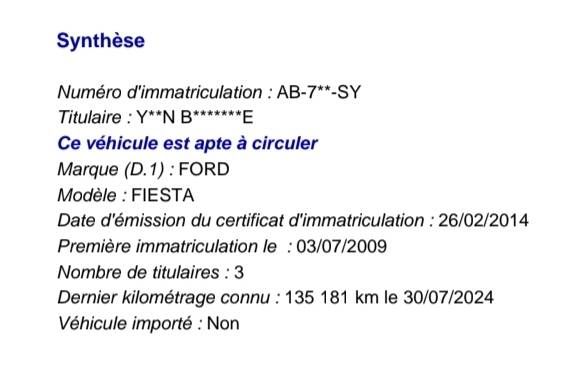 Ford Fiesta 1.4 TDCi Ambiente 2009 – снимка 14