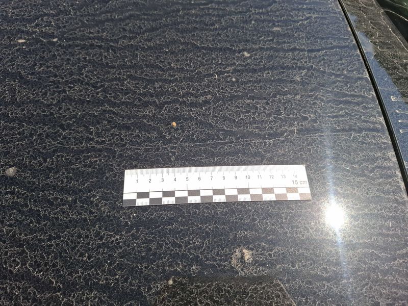 Peugeot 3008 1.6 PureTech GT Line 2020 – снимка 99