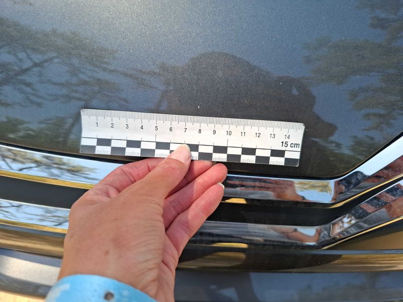 Citroen C4 1.2 PureTech Feel Pack 2021 – снимка 68