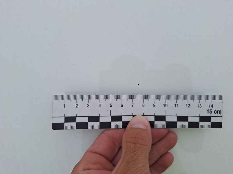 Citroen C3 1.4 HDi Pack Clim 2008 – снимка 65
