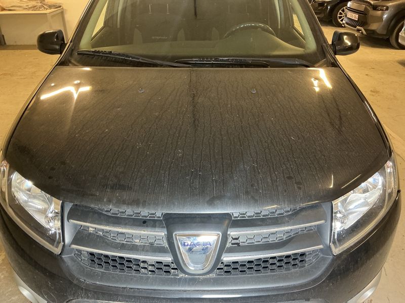 Dacia Sandero 1.5 dCi Stepway Prestige 2013 – снимка 32