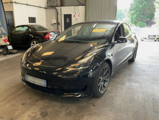 Tesla Model 3 Standard Range Plus 2021 – снимка 1