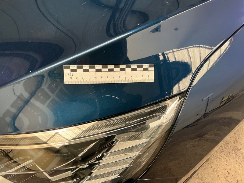 Renault Scenic 1.3 TCe BOSE-Edition 2019 – снимка 43