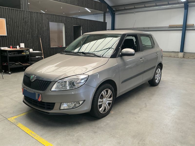 Skoda Fabia 1.2 TDI Greenline 2010 – снимка 1