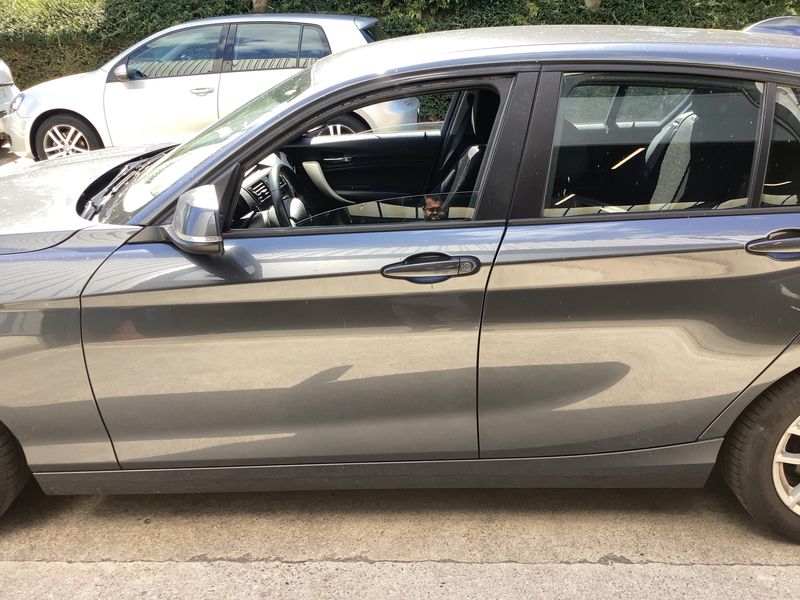 BMW 1er 116d EfficientDynamics Edition 2015 – снимка на щета 4