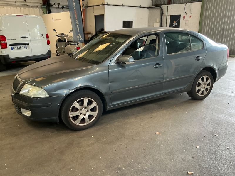 Skoda Octavia 1.9 TDI Elegance 2004 – снимка 1
