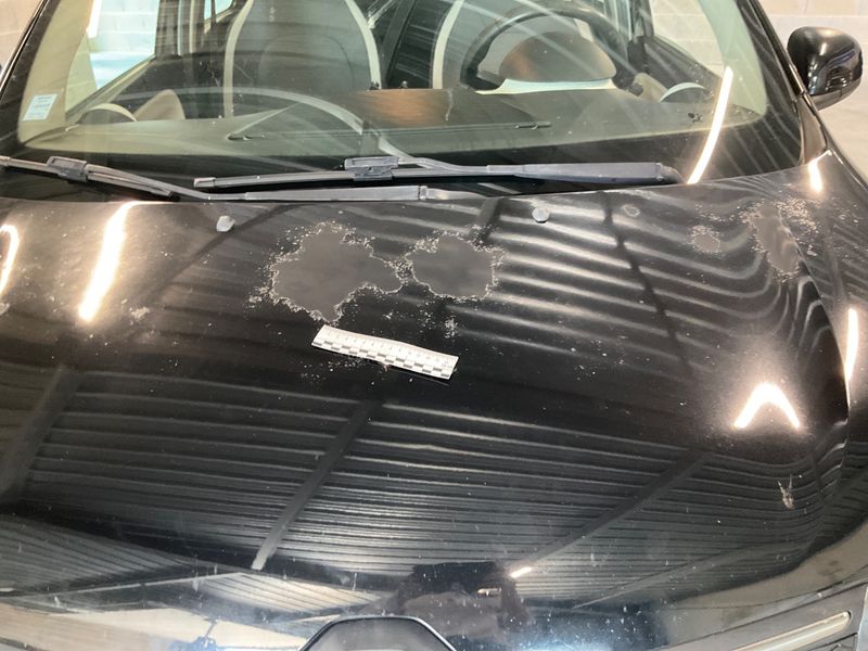 Renault Twingo 1.0 SCe Zen 2014 – снимка 32