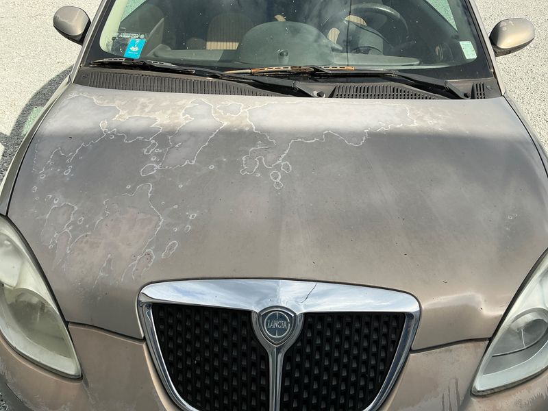 Lancia Ypsilon 1.2 Oro Plus 2008 – снимка 26