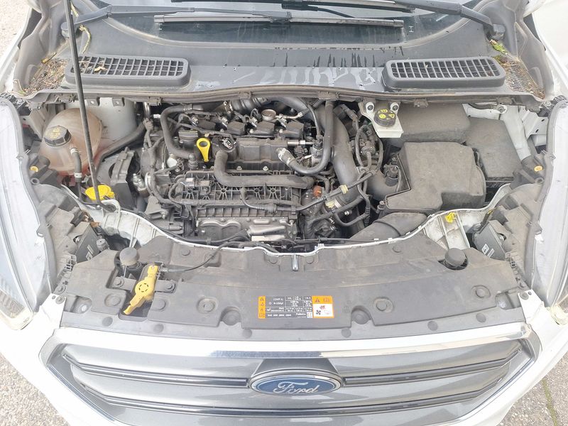 Ford Kuga 1.5 EcoBoost ST-Line 2019 – снимка 8