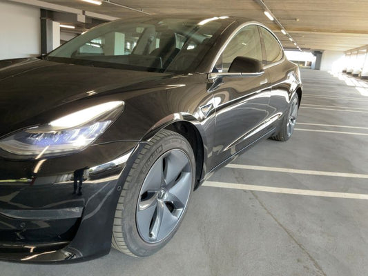 Tesla Model 3 Standard Range Plus 2019 – снимка 2