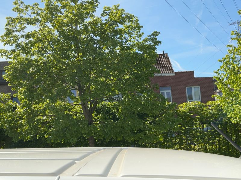 Citroen Jumpy 2.0 Blue-HDi Business XL 2018 – снимка 13