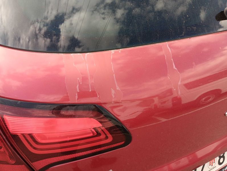 Citroen C4 1.6 Blue-HDi Feel 2015 – снимка 28