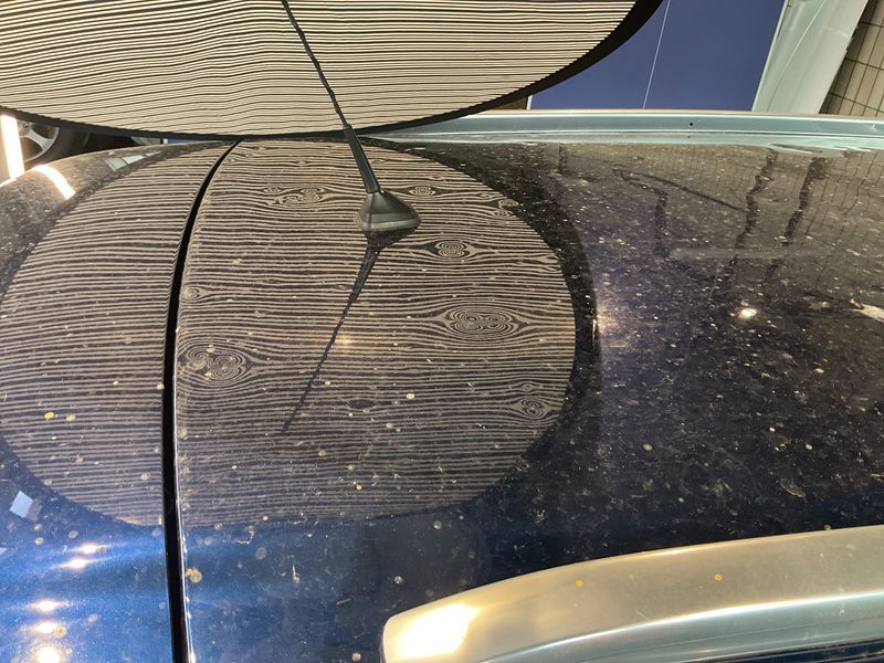 Renault Megane 1.5 BLUE dCi Business Edition 2019 – снимка 34