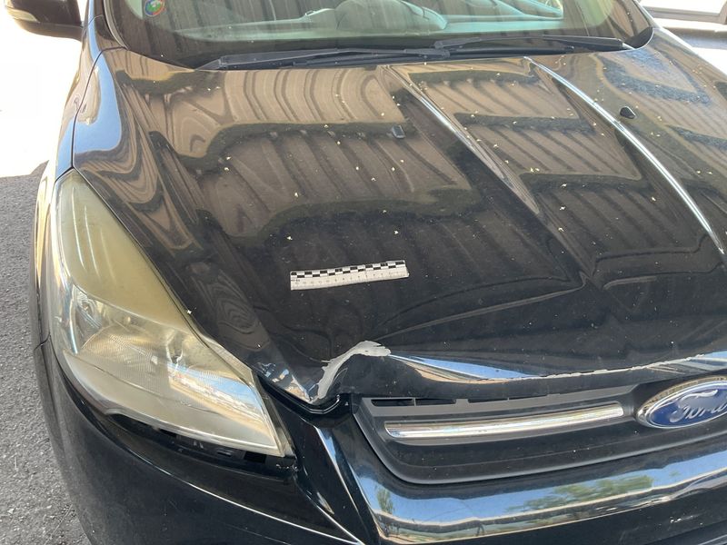 Ford Kuga 2.0 TDCi Plus 2015 – снимка 35