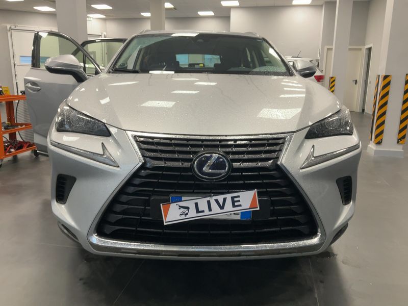 Lexus NX-Serie NX 300h E-Four Business Line 2018 – снимка 14