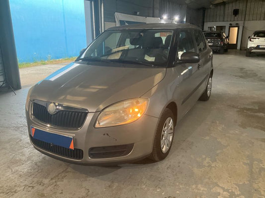 Skoda Fabia 1.2 Pep's 2009 – снимка 1