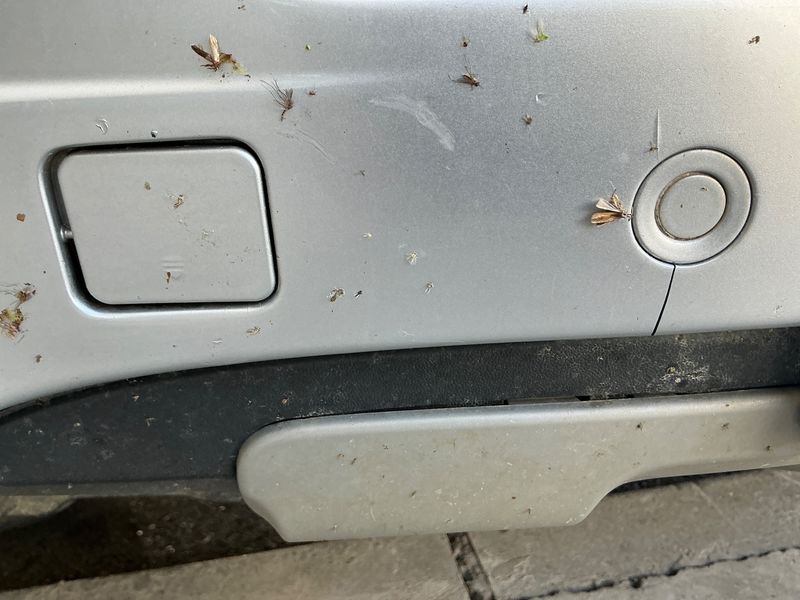 Mercedes-Benz M-Klasse ML 280 CDI 2007 – снимка 34