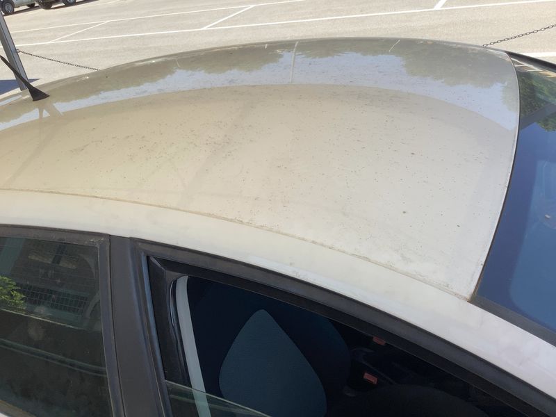 Seat Ibiza 1.2 TSI Reference Plus 2017 – снимка 13