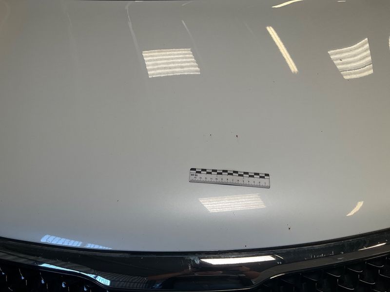 Kia Sportage 2.0 CRDi Revelation 2WD 2014 – снимка 32