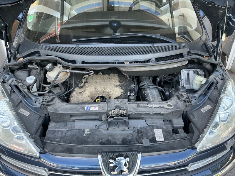 Peugeot 807 2.2 HDi Platinum 2009 – снимка на щета