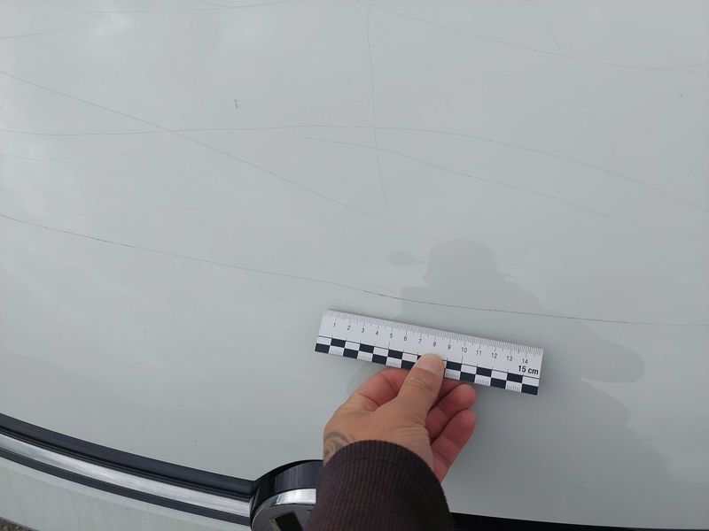 Volkswagen Golf VII 1.4 TSI Lounge BlueMotion Tech. 2015 – снимка 50