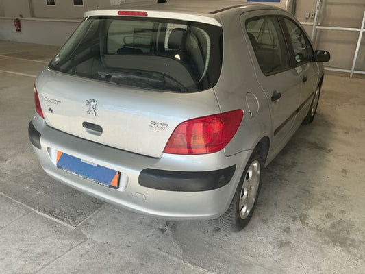 Peugeot 307 1.6 Grande Filou Cool 2003 – снимка 2