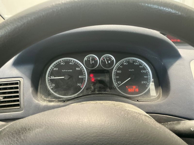 Peugeot 307 1.6 Grande Filou Cool 2003 – снимка 4