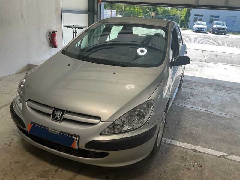Peugeot 307 1.6 Grande Filou Cool 2003 – снимка 1