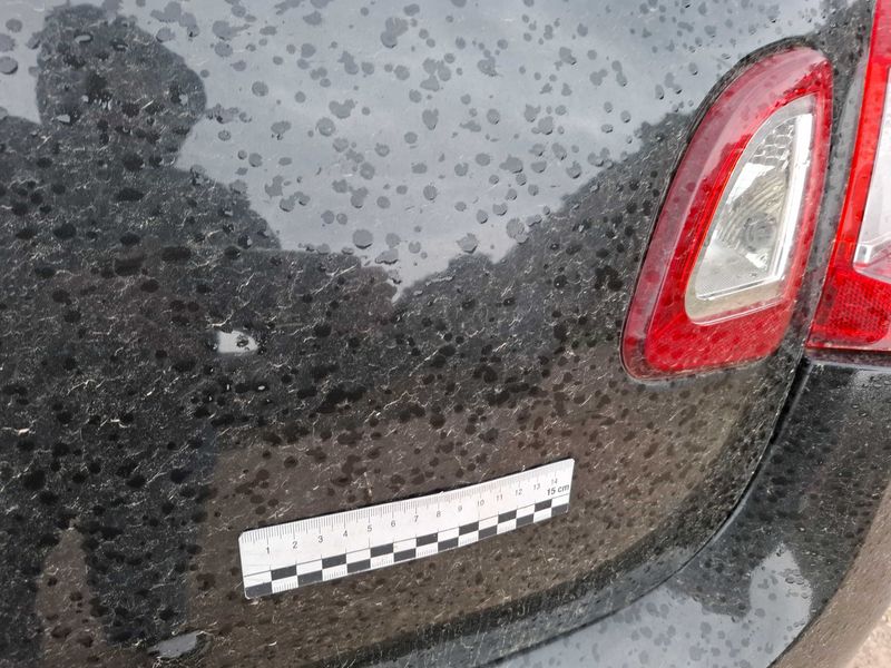 Renault Twingo 1.2 Purple 2013 – снимка 75