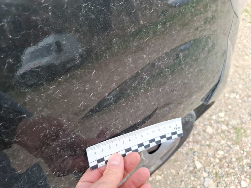 Renault Twingo 1.2 Purple 2013 – снимка 22