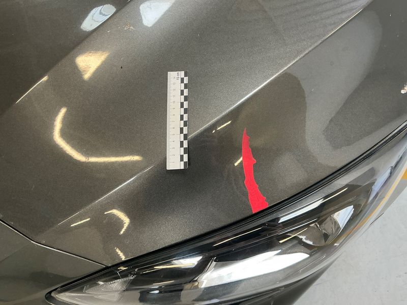 Ford Focus 1.0 EcoBoost Mild-Hybrid ST-Line 2020 – снимка 43