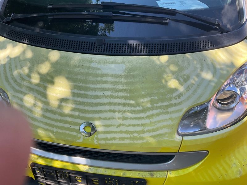 Smart fortwo 1.0 Basis passion 2008 – снимка 30