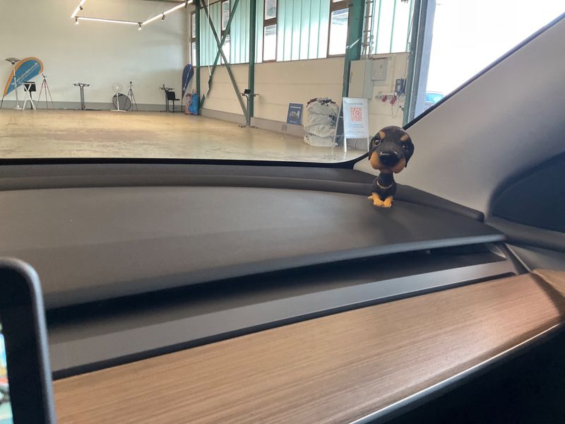 Tesla Model Y Long Range Dual AWD Premium 2025 – снимка 25