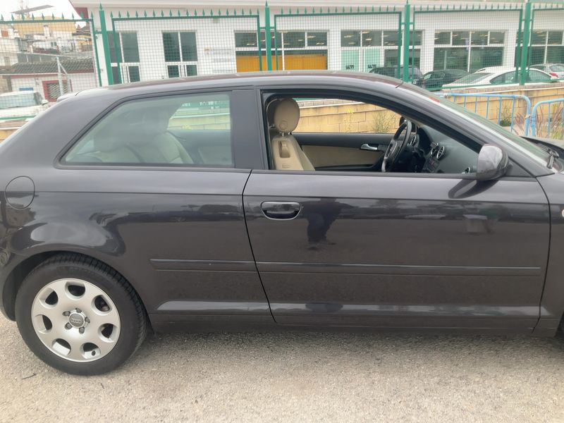 Audi A3 1.6 FSI Attraction 2004 – снимка 10