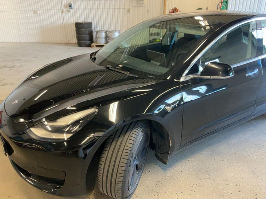 Tesla Model 3 Standard Range Plus RWD 2020 – снимка 2