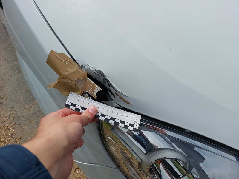 Renault Twingo 1.5 dCi Authentique 2008 – снимка 90