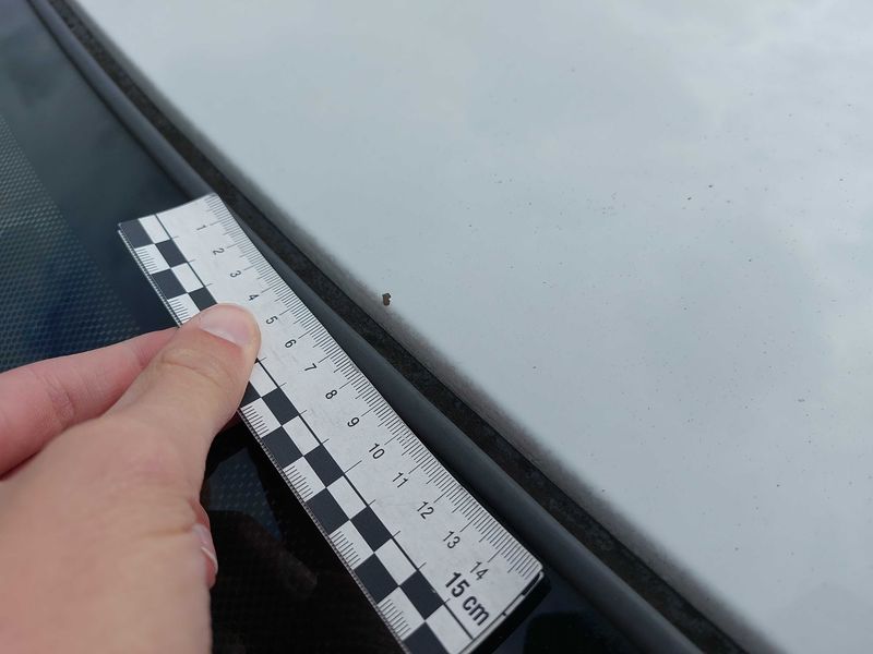 Renault Twingo 1.5 dCi Authentique 2008 – снимка 89
