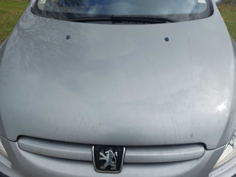 Peugeot 307 1.6 Confort Pack 2005 – снимка 49