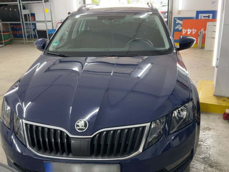 Skoda Octavia 2.0 TDI Drive 2017 – снимка 14