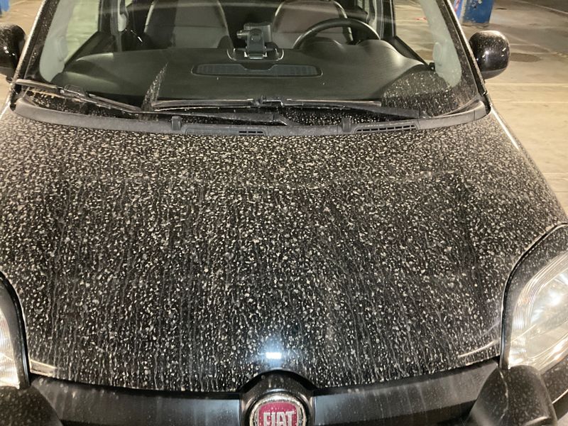 Fiat Panda 0.9 Cross 4x4 2020 – снимка 44