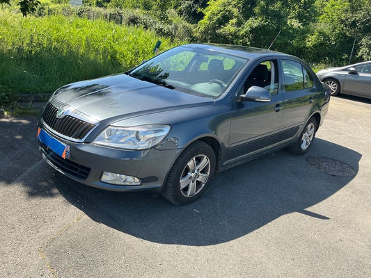 Skoda Octavia 1.6 TDI Ambition 2010 – снимка 1