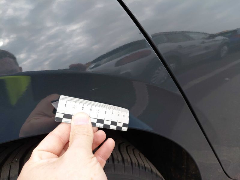 Volkswagen Golf VIII 1.5 TSI Goal 2025 – снимка 15