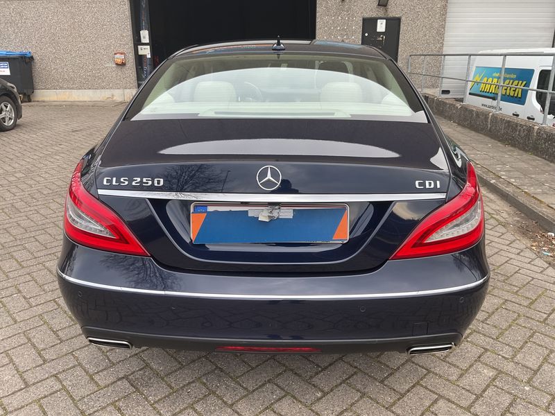 Mercedes-Benz CLS-Klasse CLS 250 d BlueEfficiency 2014 – снимка 7